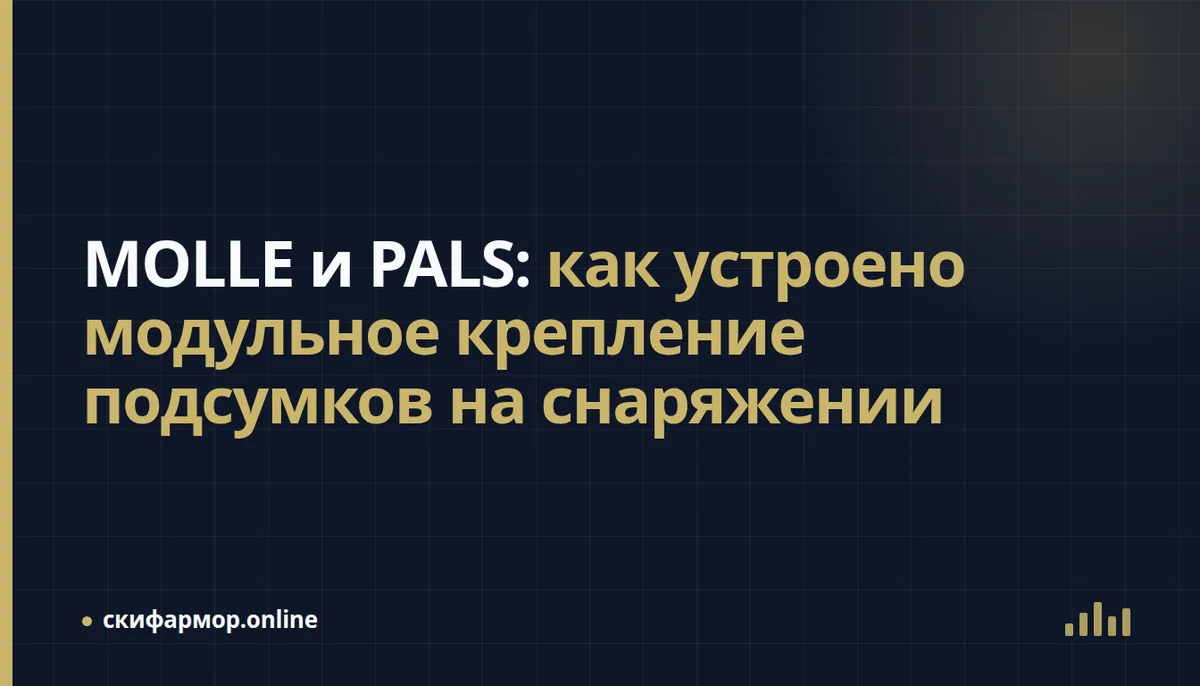 PALS и MOLLE: что это и как крепить подсумки